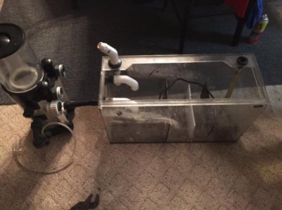 Skimmer & Sump.jpg
