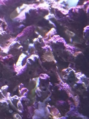 IMG_20160320_171232.jpg