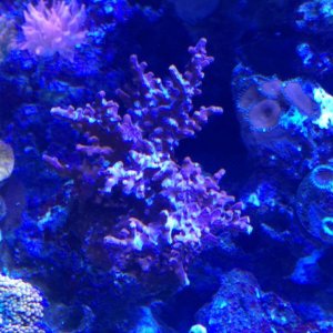 IMG_1363.jpg
