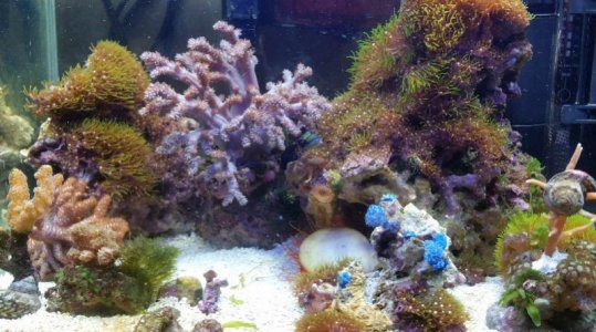 2016-03-14 12.08.58.jpg