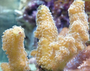 2016-03-14 12.12.14.jpg