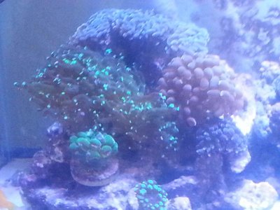 20160206_114423.jpg