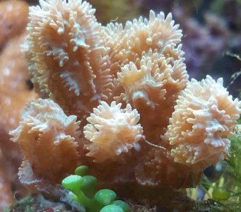 2016-03-14 12.13.16.jpg