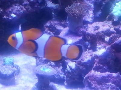 20160216_133559.jpg