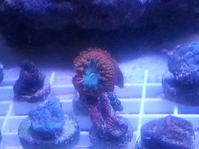 20160216_133648.jpg
