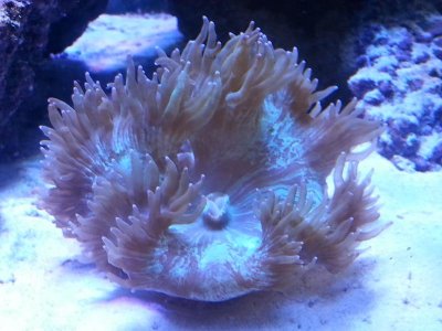 20160217_102149.jpg