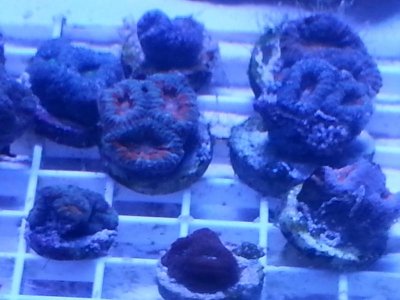 20160313_090140.jpg