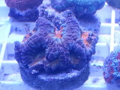 20160313_090150.jpg
