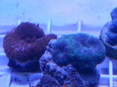 20160313_090154.jpg