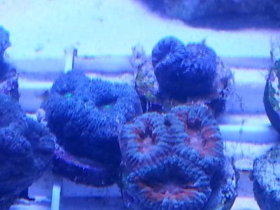 20160313_090158.jpg