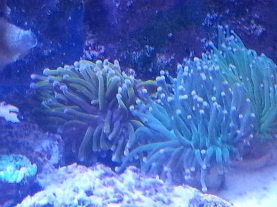 20160313_090447.jpg