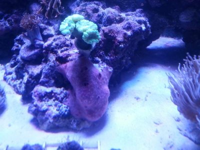 20160313_090614.jpg