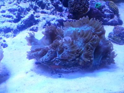 20160314_084231.jpg