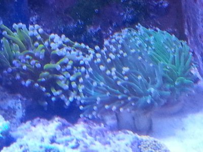 20160314_084239.jpg