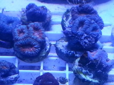 20160314_084251.jpg