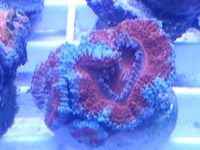 20160314_084259.jpg