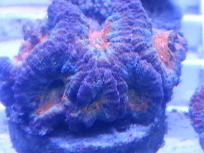 20160314_084303.jpg