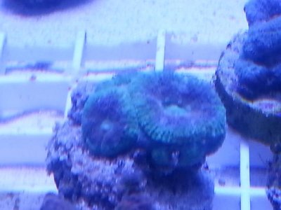 20160314_084306.jpg