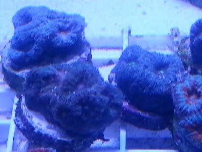 20160314_084312.jpg