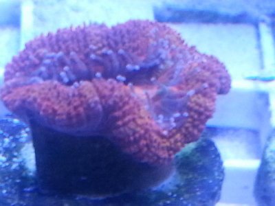 20160314_084327.jpg