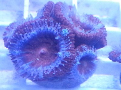 20160314_084332.jpg