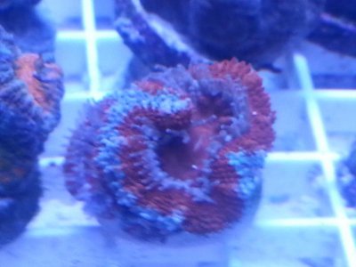 20160314_100640.jpg