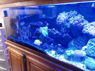 IMG_20160314_210713.jpg