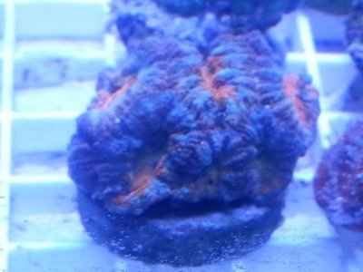 20160314_100643.jpg