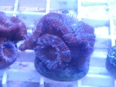 20160314_100649.jpg