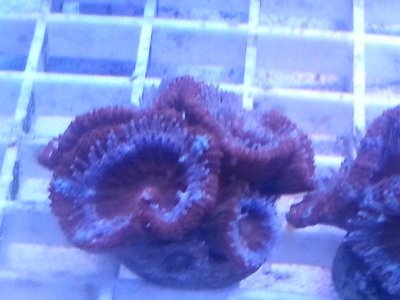 20160314_100653.jpg