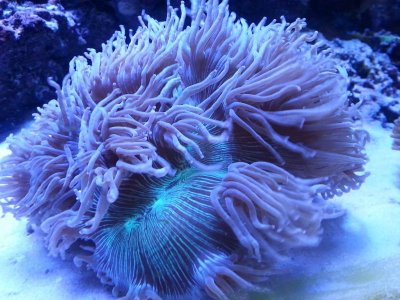 20160314_1211491.jpg