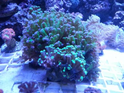 20160314_1211541.jpg