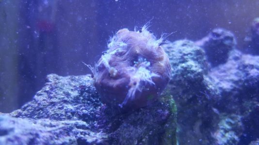 20160314_210708.jpg