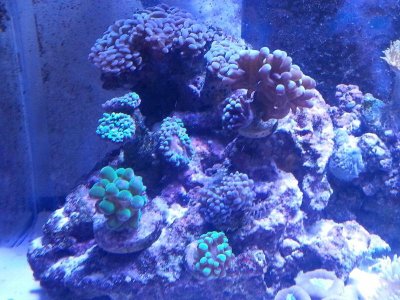 20160314_1212081.jpg