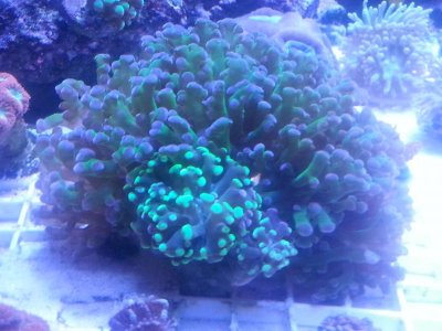 20160315_080046.jpg