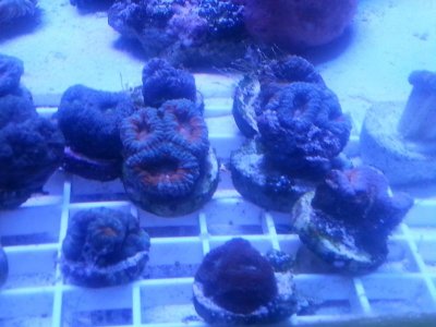 20160315_080053.jpg