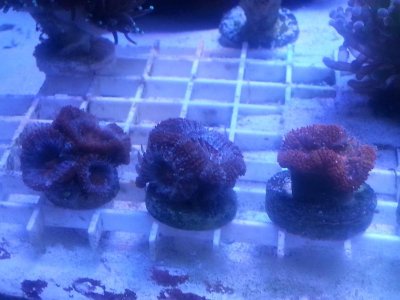 20160315_080058.jpg
