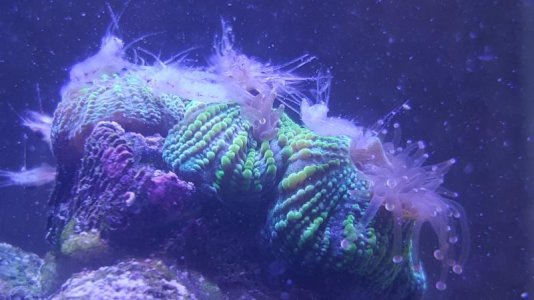 20160314_210746.jpg