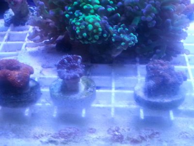 20160315_080101.jpg