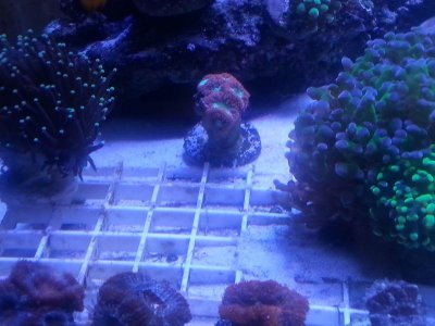 20160315_080103.jpg