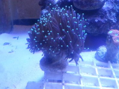 20160315_080107.jpg