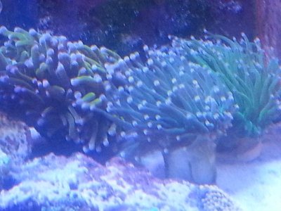 20160315_080134.jpg
