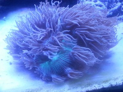 20160315_080143.jpg