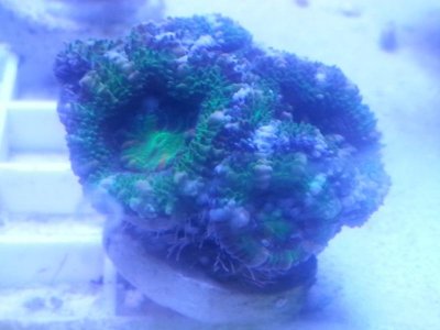 20160315_080150.jpg