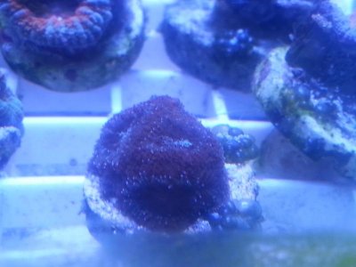 20160315_080154.jpg