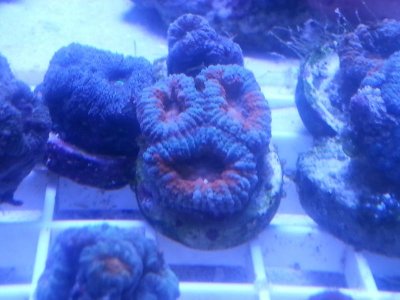 20160315_080157.jpg