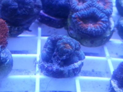 20160315_080159.jpg