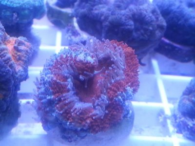 20160315_080202.jpg