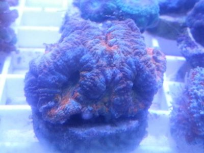 20160315_080204.jpg