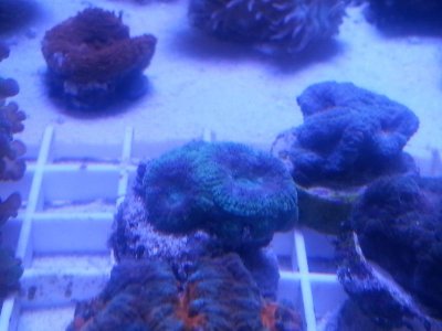 20160315_080207.jpg